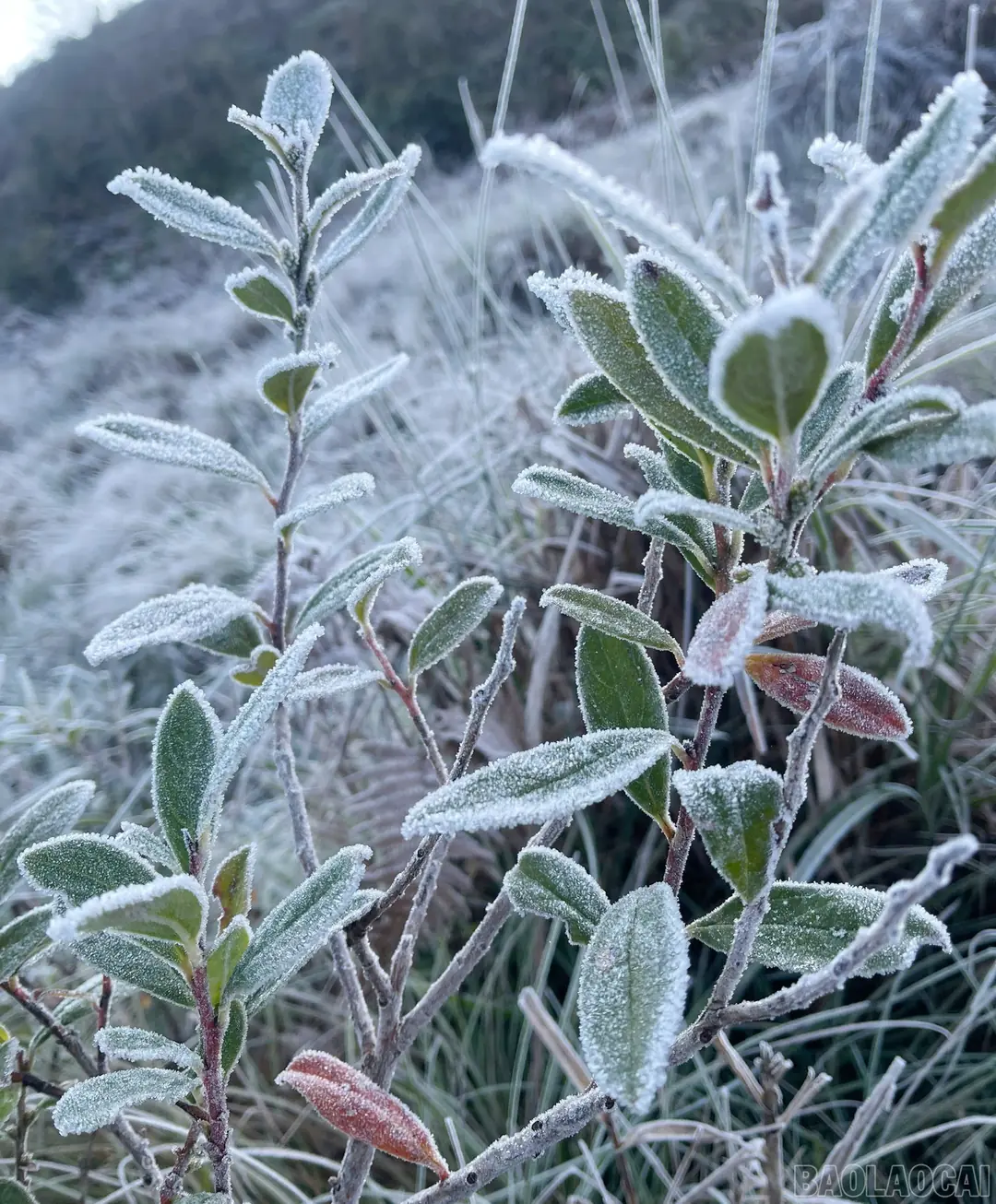 Đài PTTH Hà Nội